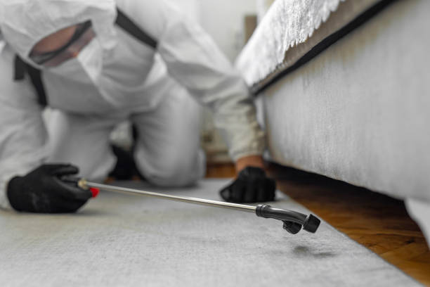 Professional Termite Control technician working in Marlinton, WV