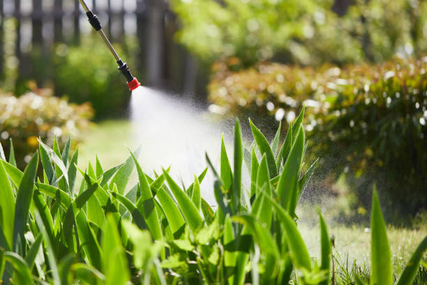 24/7 Emergency Termite Control experts in Marlinton, WV