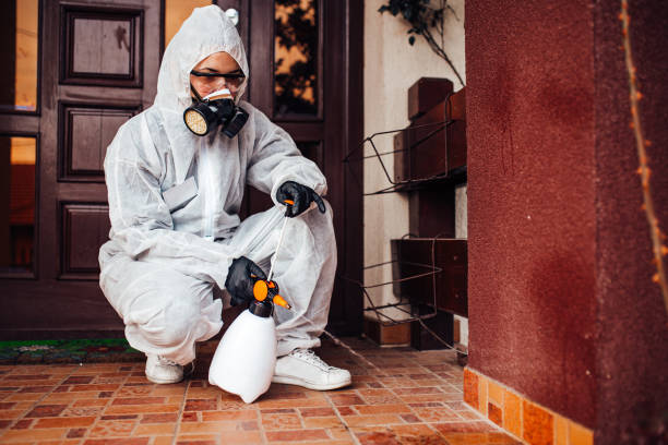 Reliable Termite Control contractor in Marlinton, WV by Nex Pest Control