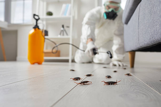 Trusted Termite Control service in Marlinton, WV - Nex Pest Control