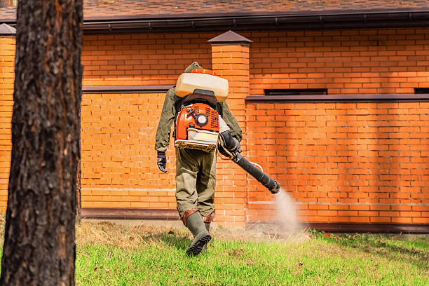 Trusted Rodent Control service in Marlinton, WV - Nex Pest Control